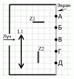 zubr2022