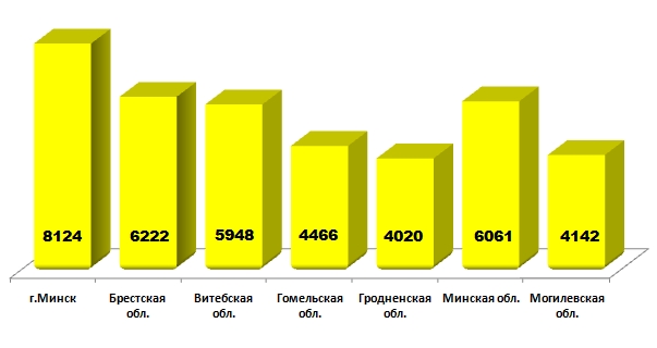 Инфомышка