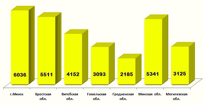 Инфомышка